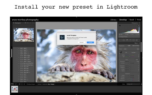 Lightroom Preset Generator from Chrome web store to be run with OffiDocs Chromium online Lightroom Preset Generator from Chrome web store to be run with OffiDocs Chromium online