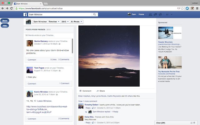 LikeGuard  from Chrome web store to be run with OffiDocs Chromium online