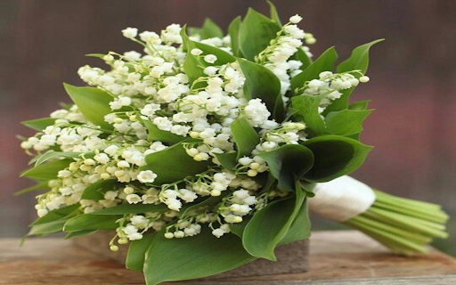 Lily of the Valley bouquet wallpaper  from Chrome web store to be run with OffiDocs Chromium online