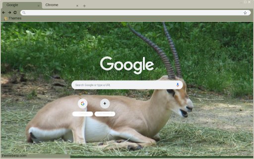 Linh Duong Gazelle from Chrome web store to be run with OffiDocs Chromium online Linh Duong Gazelle from Chrome web store to be run with OffiDocs Chromium online