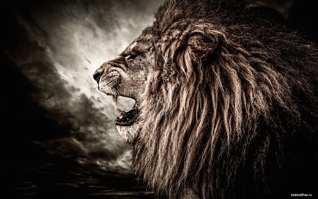 Lion من متجر Chrome الإلكتروني ليتم تشغيله مع OffiDocs Chromium عبر الإنترنت