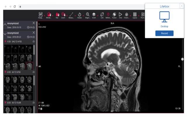 Litebox  from Chrome web store to be run with OffiDocs Chromium online