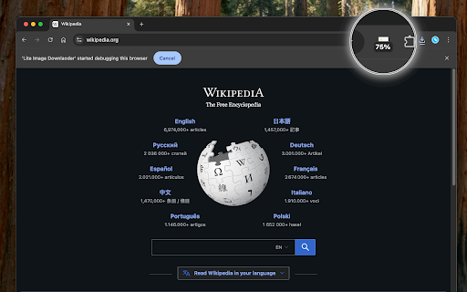 Lite Image Downlaoder  from Chrome web store to be run with OffiDocs Chromium online