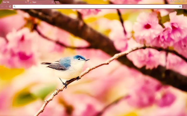 Little Bird  from Chrome web store to be run with OffiDocs Chromium online
