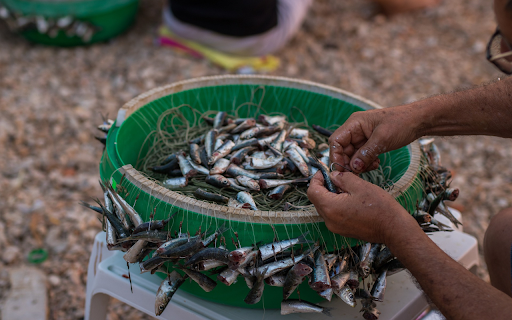 Little fish  from Chrome web store to be run with OffiDocs Chromium online