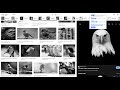 Live Photo Editor Online de la boutique en ligne Chrome à exécuter avec OffiDocs Chromium en ligne
