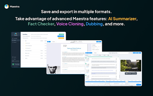 Live Voice Translation  Transcription | Maestra  from Chrome web store to be run with OffiDocs Chromium online