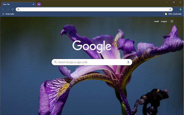Lone Purple Iris  from Chrome web store to be run with OffiDocs Chromium online