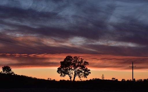 Lone Tree at Sunset with Power Lines  from Chrome web store to be run with OffiDocs Chromium online