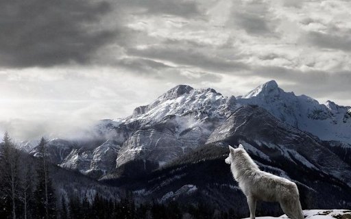 Lone Wolf in the Snow from Chrome web store to be run with OffiDocs Chromium online Lone Wolf in the Snow from Chrome web store to be run with OffiDocs Chromium online