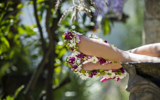Long legs and floral shoes  from Chrome web store to be run with OffiDocs Chromium online