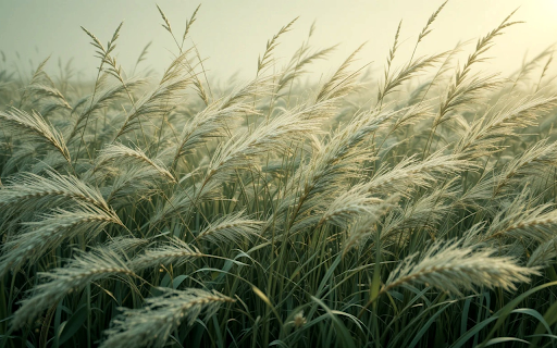 Long tall grass field from Chrome web store to be run with OffiDocs Chromium online Long tall grass field from Chrome web store to be run with OffiDocs Chromium online