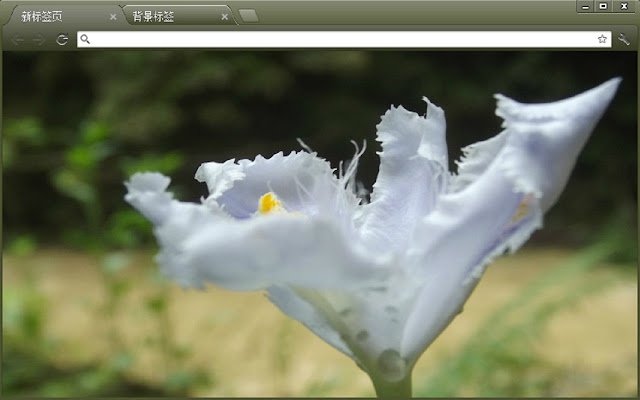 longtan  from Chrome web store to be run with OffiDocs Chromium online