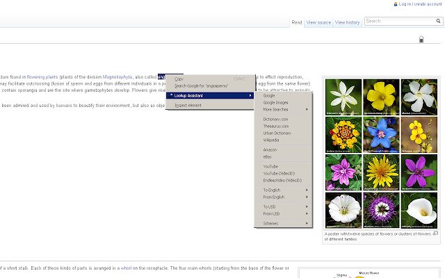 Chrome ウェブストアの Lookup Assistant を OffiDocs Chromium online で実行