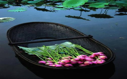 Lotus boat wallpaper  from Chrome web store to be run with OffiDocs Chromium online