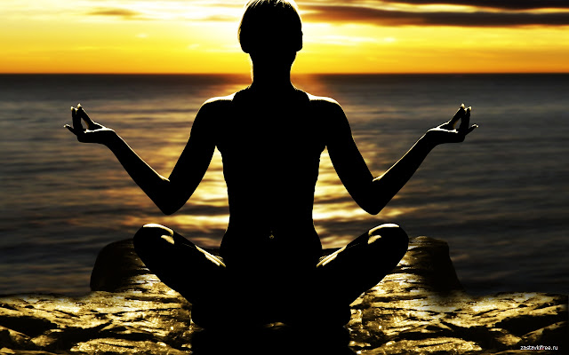 Chrome 웹 스토어의 Lotus Posture가 OffiDocs Chromium 온라인에서 실행됩니다.