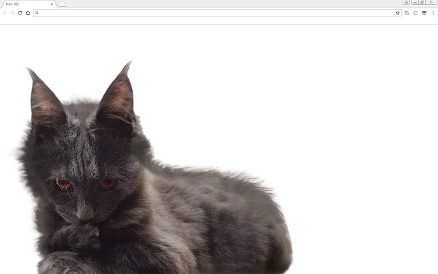طرح زمینه گربه نارنجی کم پلی از فروشگاه وب کروم برای اجرای آنلاین با OffiDocs Chromium