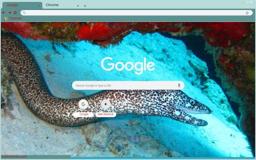 Luon bien  from Chrome web store to be run with OffiDocs Chromium online