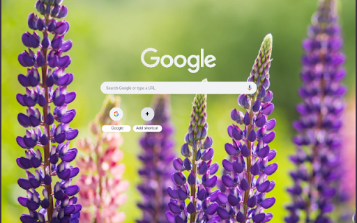 Lupine  from Chrome web store to be run with OffiDocs Chromium online