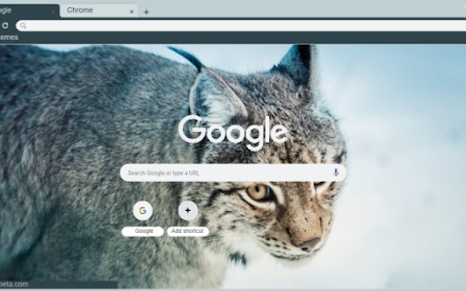 Lynx  from Chrome web store to be run with OffiDocs Chromium online