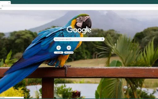 Macaw  from Chrome web store to be run with OffiDocs Chromium online