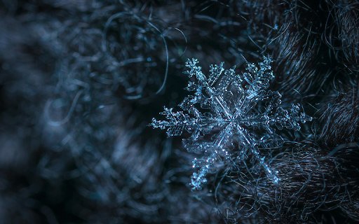 Macro Photography of Snowflake  from Chrome web store to be run with OffiDocs Chromium online