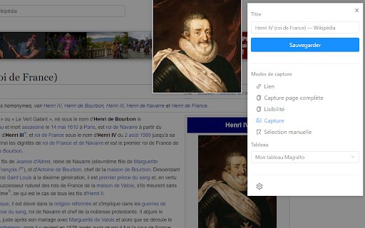 magneto extension  from Chrome web store to be run with OffiDocs Chromium online