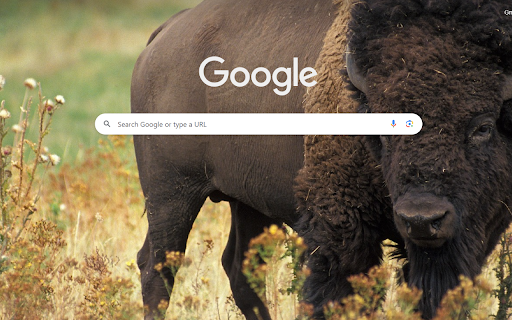 Majestic Bison  from Chrome web store to be run with OffiDocs Chromium online
