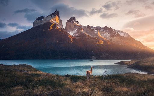 Majestic Mountains and Grazing Guanaco at Sunset  from Chrome web store to be run with OffiDocs Chromium online