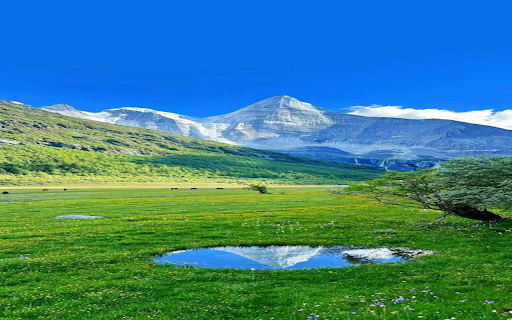 Majestic nature wallpapers  from Chrome web store to be run with OffiDocs Chromium online