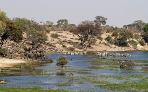 Makgadikgadi  from Chrome web store to be run with OffiDocs Chromium online