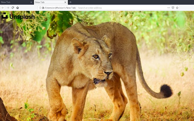 Malolans New Tab da Chrome Web Store será executado com o OffiDocs Chromium online