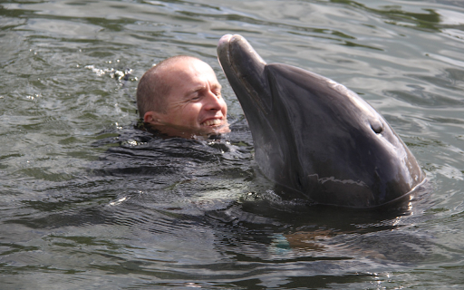 Man and dolphin  from Chrome web store to be run with OffiDocs Chromium online