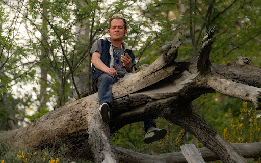 Man on dry tree  from Chrome web store to be run with OffiDocs Chromium online