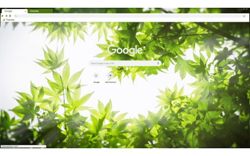 maple  from Chrome web store to be run with OffiDocs Chromium online