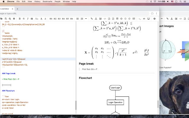 Markdown Viewer and Editor  from Chrome web store to be run with OffiDocs Chromium online