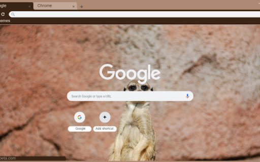 Meerkat  from Chrome web store to be run with OffiDocs Chromium online