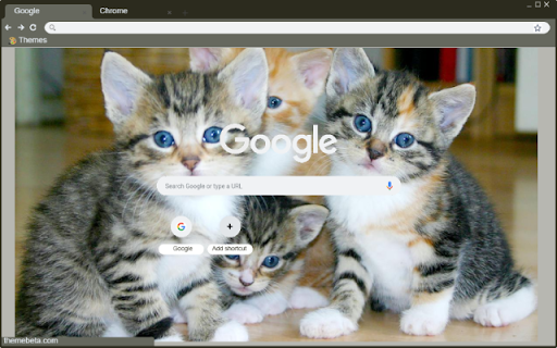Meo  from Chrome web store to be run with OffiDocs Chromium online