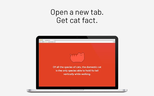 Chrome Web ストアの MeowMeowFacts を OffiDocs Chromium オンラインで実行