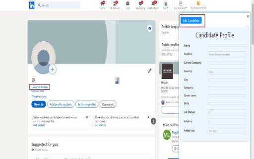 Merittas Extension  from Chrome web store to be run with OffiDocs Chromium online