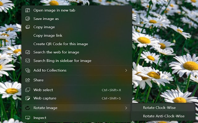 Messaging Network Image Rotator  from Chrome web store to be run with OffiDocs Chromium online