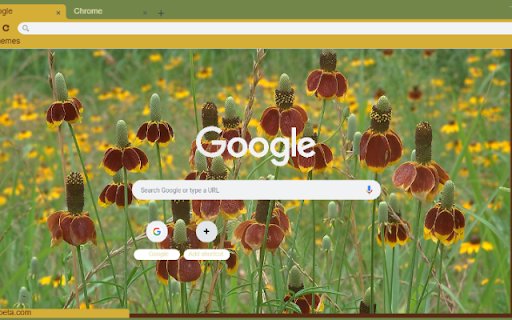 Mexican Hat  from Chrome web store to be run with OffiDocs Chromium online