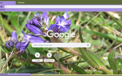 Milkwort  from Chrome web store to be run with OffiDocs Chromium online