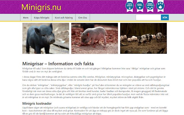 Minigris.nu  from Chrome web store to be run with OffiDocs Chromium online
