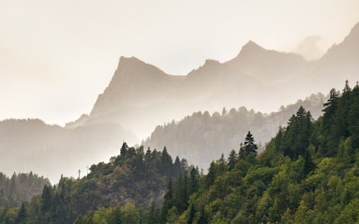 Minimalist Mountains with Trees and Fog  from Chrome web store to be run with OffiDocs Chromium online