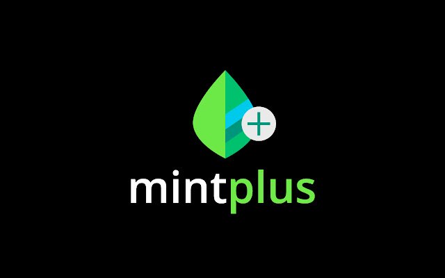 Mint+  from Chrome web store to be run with OffiDocs Chromium online