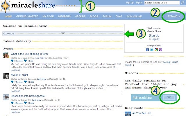 MiracleShrink із веб-магазину Chrome, який запускатиметься за допомогою OffiDocs Chromium онлайн