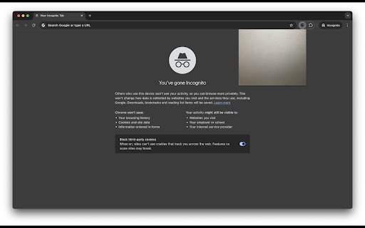 MirrorMe  from Chrome web store to be run with OffiDocs Chromium online