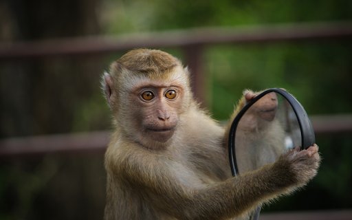 Mischievous monkey  from Chrome web store to be run with OffiDocs Chromium online