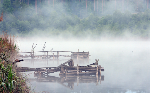 Mist river and forest from Chrome web store to be run with OffiDocs Chromium online Mist river and forest from Chrome web store to be run with OffiDocs Chromium online